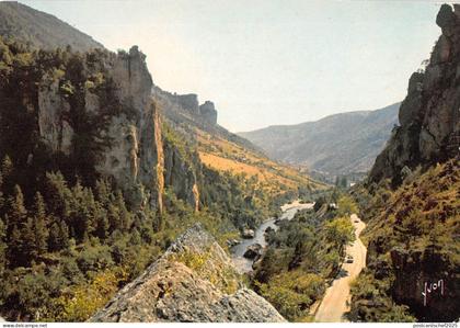 BT9732 Gorges du tarn vue sur le pas du soucy         France