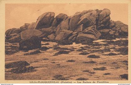 Lilia-Plouguerneau (Finistère) Le Rochers du Pinnidition ngl #E0117