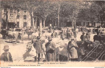 Lot273 revel le marche aux bestiaux france