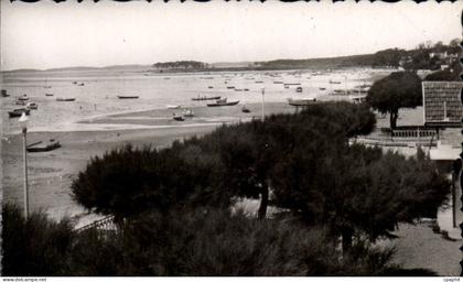CPSM Andernos les Bains Vue vers les Quinconces