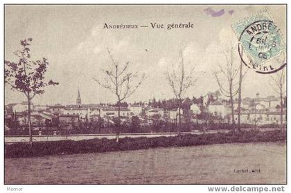 ANDREZIEUX Vue Générale