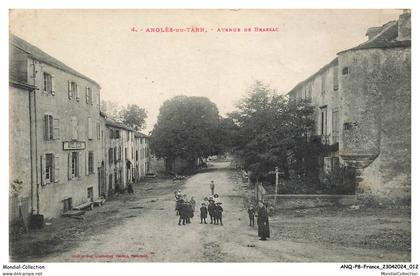 ANQP8-0615-81 - ANGLES-DU-TARN - avenue de brassac