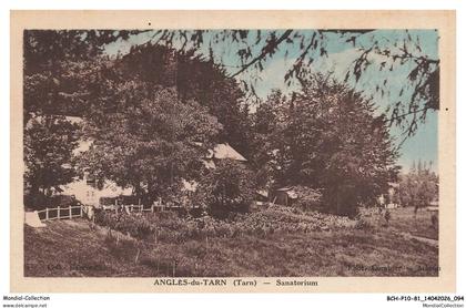BCHP10-1005-81 - ANGLES-DU-TARN - sanatorium