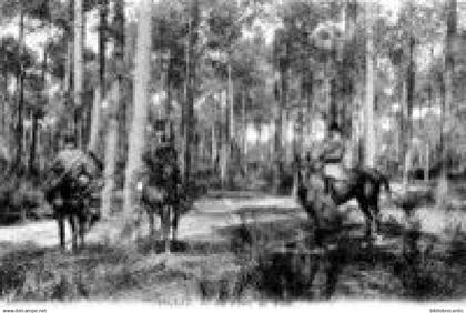 D64 - ANGLET - TROIS CHASSEURS A CHEVAL DANS LA FORET DE PINS