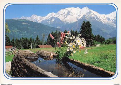 74 ANNECY LE VIEUX ANNECY LE VIEUX