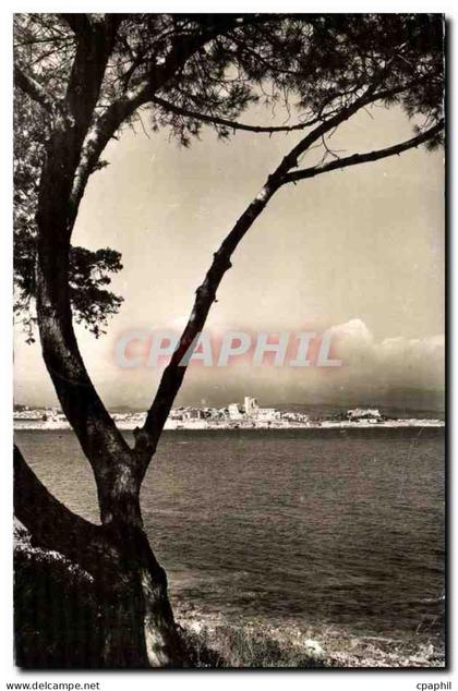 Antibes CPA Vue sur la vieille ville et le fort carre