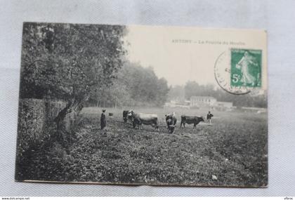 Antony, la prairie du moulin, Hauts de Seine 92