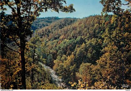 CPM Le Cantal Pittoresque les Gorges de la Cere en Automne