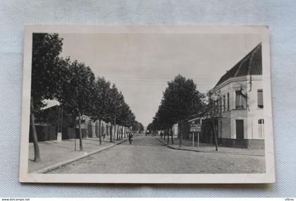 Cpsm 1951, Arques, boulevard de la Liberté, Pas de Calais 62