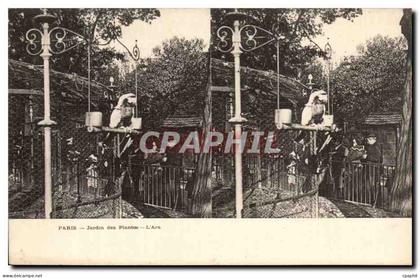 Paris CPA Jardin des plantes L'ara (oiseau) (vues stereoscopiques)
