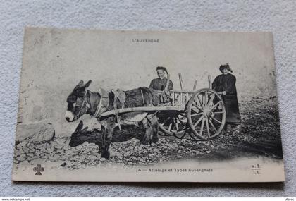 Attelage et types Auvergnat, Auvergne, Puy de Dome