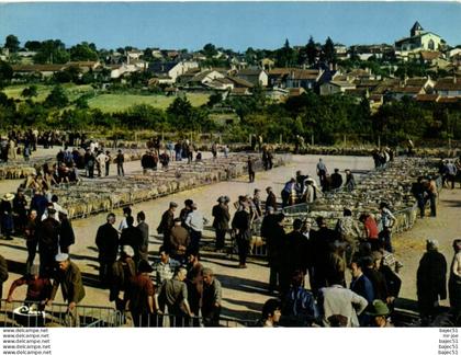 Availles limouzine - le champ de foire