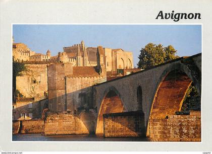 CPM Avignon Vaucluse Le pont et le palais