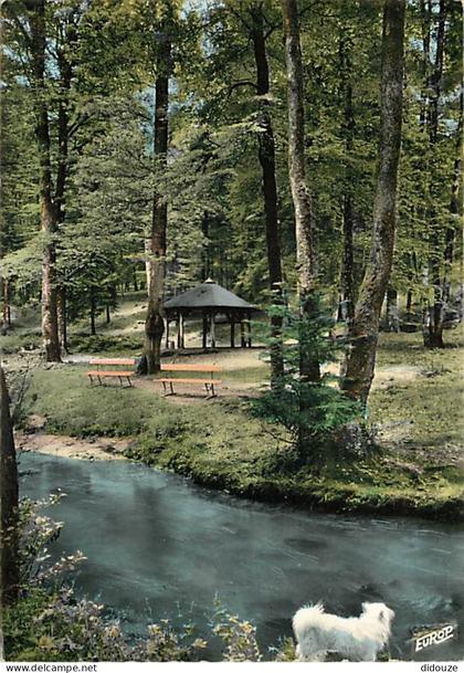 Carte Postale - 88 - Bains les Bains - Le Parapluie et le Bagnerot - Flamme Postale de Bains les Bains - CPM - Voir Scan