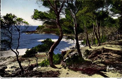 Bandol CPA Chemin de CApeland