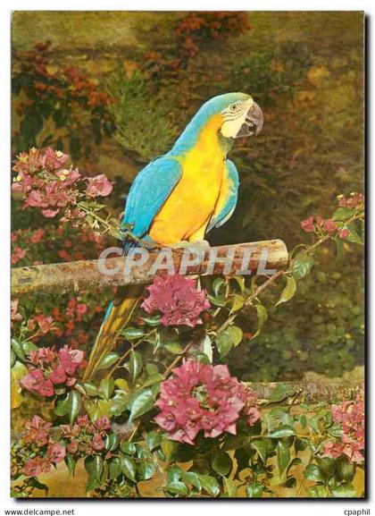 CPM Jardin Exotique Sanary Bandol