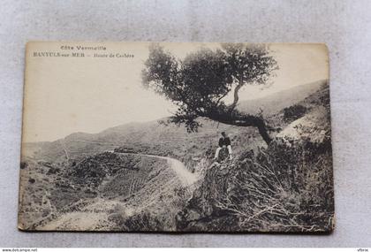 Banyuls sur mer, route de Cerbère, Pyrénées Orientales 66