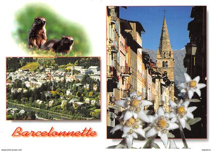 04-BARCELONNETTE-N°2864-D/0221