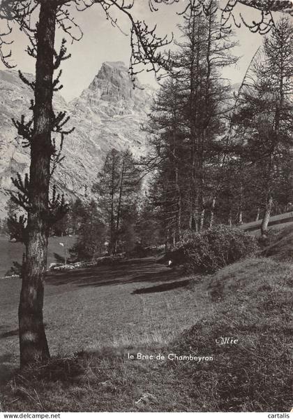 04-BARCELONNETTE-N°3709-C/0363