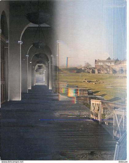 Carte Postale - 59 - Bavay - Musée - Site archéologique départemental - CPM - Voir Scans Recto-Verso - Poscard - Carta P