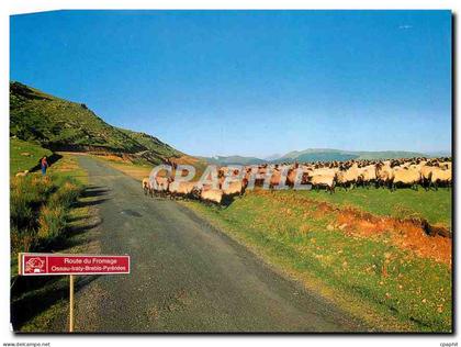 CPM Iteneraire de Tradition en Pays Basque et Bearn