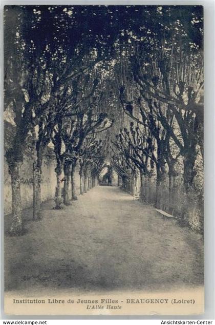 51600039 - Beaugency