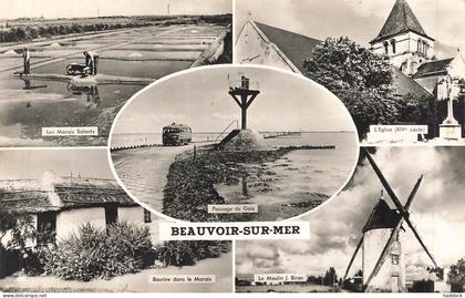 BEAUVOIR SUR MER : MULTIVUES