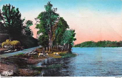 87 BESSINES SUR GARTEMPE ETANG DE SAGNAT