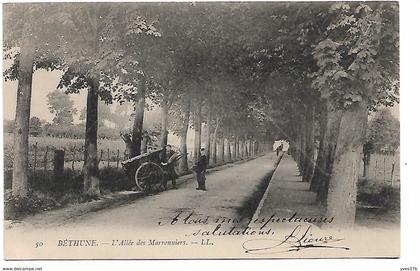 BETHUNE - Allée des Marronniers