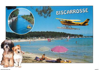 CPM Biscarrosse Landes Hydravion Chien Aviation