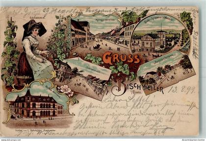 13428869 - Bischwiller Bischweiler