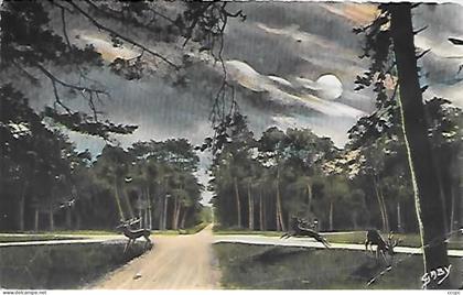 CPSM La Forêt du Gavre entre Plesse et Blain - Le rond-point