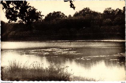 CPA Bleneau Soir sur l'Etang de Branchereaux (1478283)