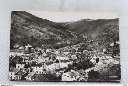 Cpsm 1951, Blesle, vu des côteaux de Fontenille, Haute Loire 43