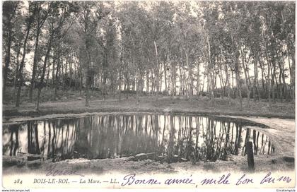 CPA Carte Postale France Bois-le-Roi  La Mare 1904 VM93130