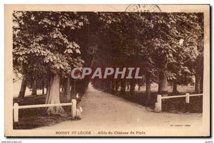 Boissy Saint Leger - Allee du Chateau du Piple - CPA