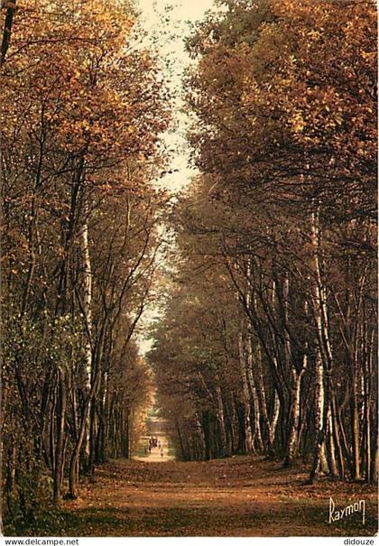 Carte Postale - 93 - Bondy - Promenade en Forêt de Bondy - CPM - Voir Scans Recto-Verso - Poscard - Carta Postal -  Post