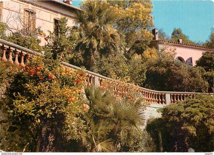 CPM Bormes les Mimosas La Perle du Var