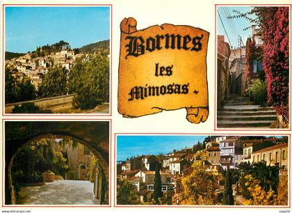 CPM Bormes Les Mimosas Var Premier village fleuri de France