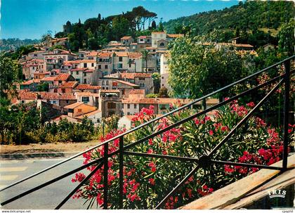 CPM Bormes les Mimosas Var Vue d'emsemble