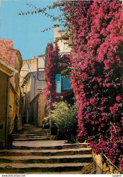 CPM Cote d Azur France Bormes les Mimosas Var Vieille Rue