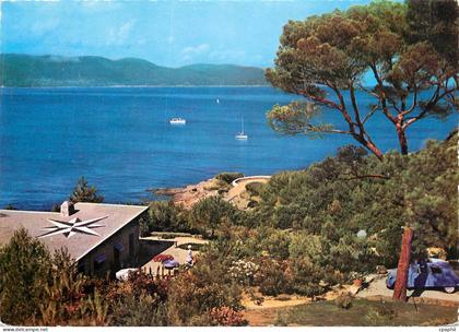CPM Environs du Lavandou Bormes les Mimosas Var