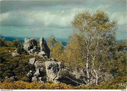 Carte Postale - 23 - Bourganeuf - Les Rochers de Mazures aux environs de Bourganeuf - CPM - Voir Scans Recto-Verso - Pos