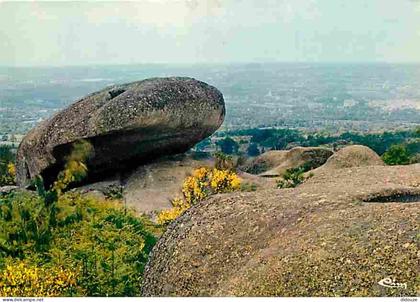 Carte Postale - 23 - Boussac - Environs de Boussac - Les Pierres Jaunatres - La Boussaquine - CPM - Voir Scans Recto-Ver