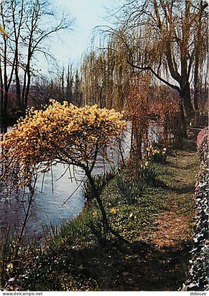 Carte Postale - 80 - Bray sur Somme - CPM - Voir Scans Recto-Verso - Poscard - Carta Postal -  Postkarte