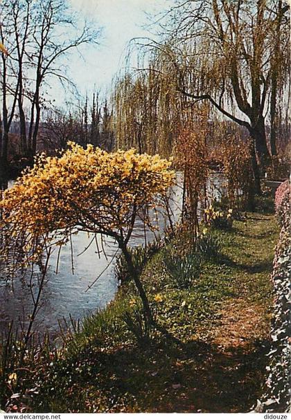 Carte Postale - 80 - Bray sur Somme - CPM - Voir Scans Recto-Verso - Poscard - Carta Postal -  Postkarte