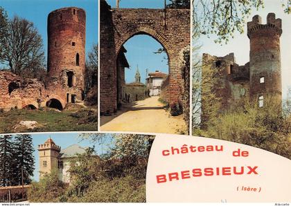 38 BRESSIEUX CHATEAU DE BRESSIEUX