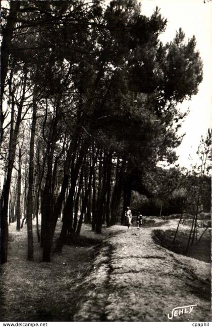 Bretignolles sur Mer - La Foret des Dunes - CPA