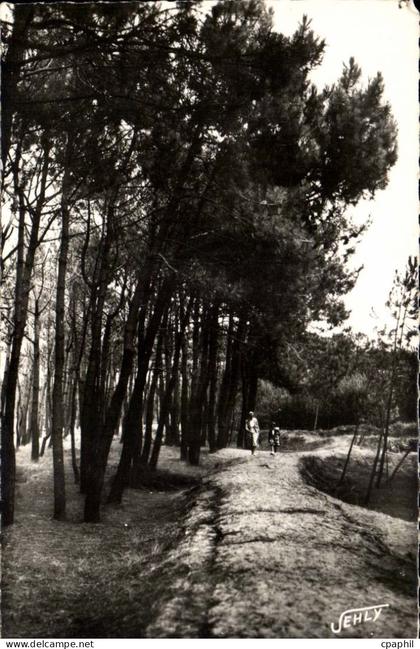 Bretignolles sur Mer - La Foret des Dunes - CPA