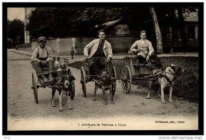 45 Briare - attelages chiens - laitier - voitures à chiens